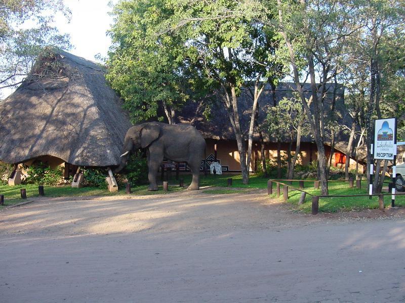 Bed & Breakfast Lokuthula 3*