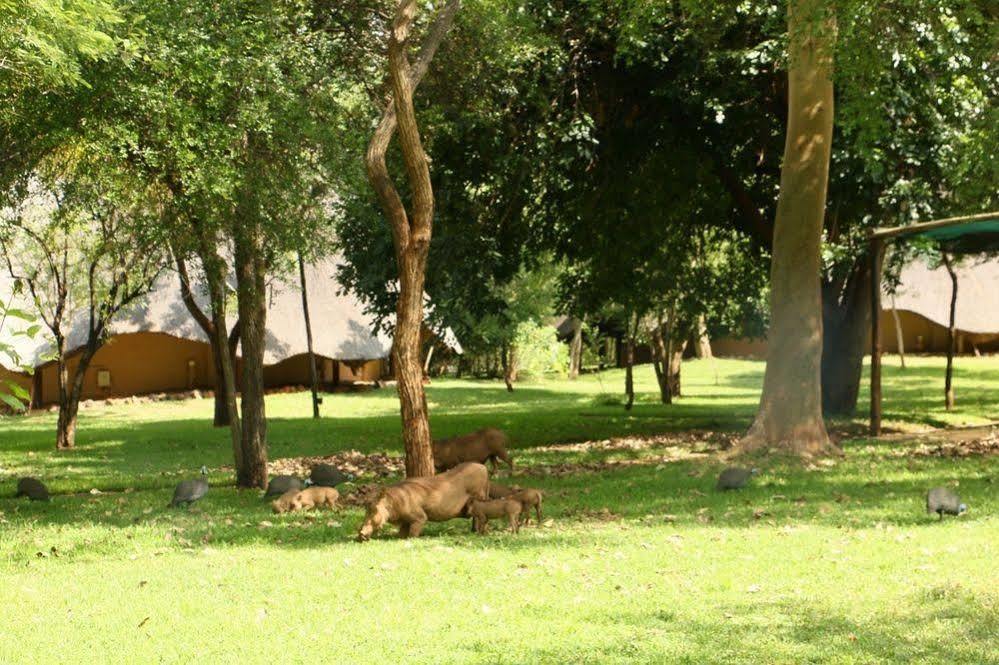 Bed & Breakfast Lokuthula Victoria Falls